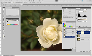Photoshop CS5 mit geöffnetem Bild Photoshop